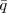 ¯q
